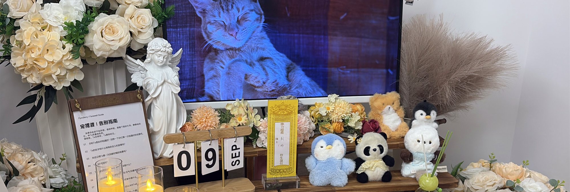 宠摆渡鄂尔多斯宠物殡葬门店告别厅实景