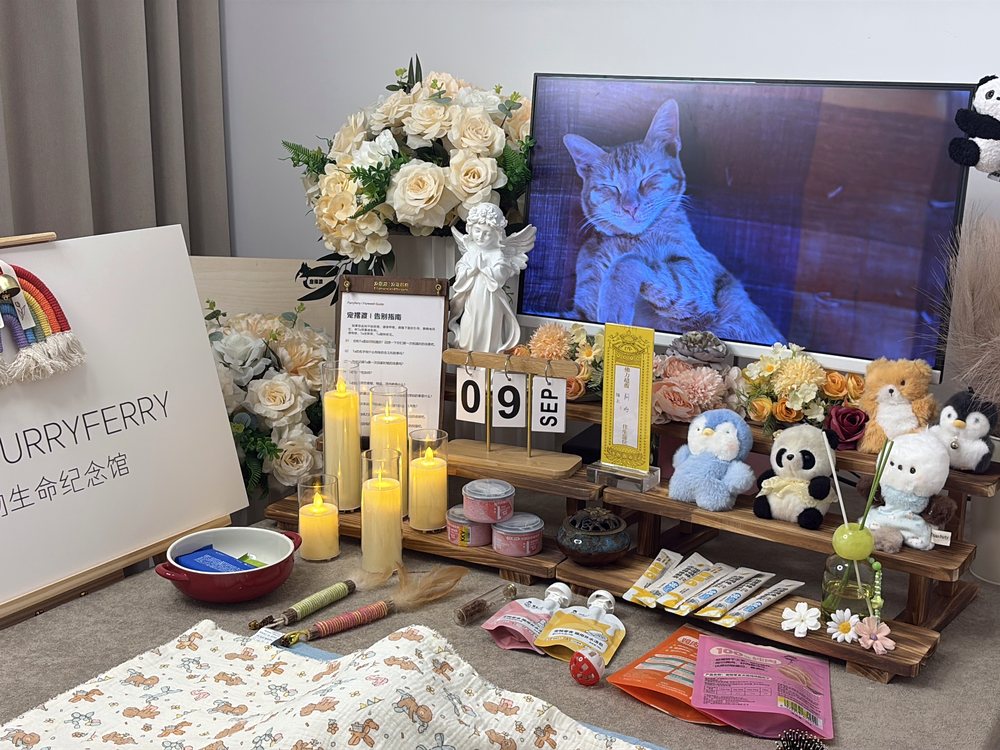 鄂尔多斯宠物殡葬接宠服务与告别厅